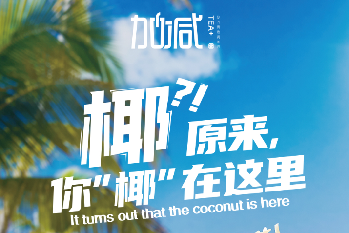 304am永利椰子系列新品火爆上市